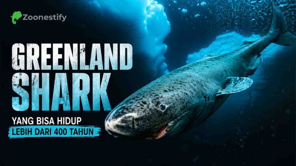 Misteri Greenland Shark, Ikan Arktik yang Bisa Hidup Lebih dari 400 Tahun