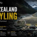New Zealand Grayling, Ikan Endemik Selandia Baru yang Punah