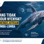 Fakta Lumba-Lumba: Hewan yang Tidak Pernah Tidur Nyenyak