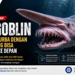 Hiu Goblin, Predator Purba dengan Rahang yang Bisa Meluncur ke Depan