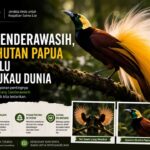 Burung Cenderawasih, Permata Hutan Papua dengan Bulu yang Memukau Dunia