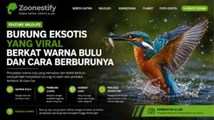 Burung Eksotis yang Viral Berkat Warna Bulu dan Cara Berburunya