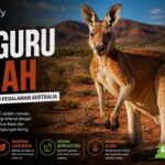 Kanguru Merah, Pelompat Andal dari Pedalaman Australia