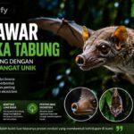 Kelelawar Bermuka Tabung, Mamalia Terbang dengan Wajah yang Sangat Unik