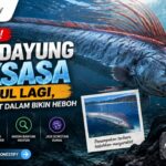Ikan Dayung Raksasa Muncul Lagi, Makhluk Laut Dalam Bikin Heboh