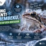 Jantung Berhenti Saat Membeku, Katak Unik Ini Tetap Bisa Bertahan Hidup