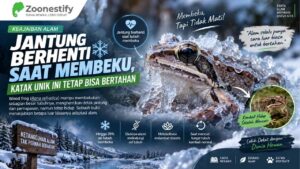 Jantung Berhenti Saat Membeku, Katak Unik Ini Tetap Bisa Bertahan Hidup