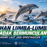 Puluhan Lumba-Lumba Mendadak Bermunculan, Pemandangan Laut Jadi Spektakuler