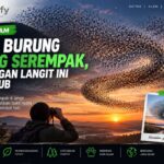 Ribuan Burung Terbang Serempak, Pemandangan Langit Ini Bikin Takjub
